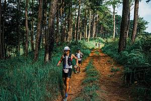 BIB: 
                            <button type="button" onclick="openModal(25653800)" class="btn btn-primary btn-sm float-right btn-popup" data-toggle="modal" data-target=".modal-high-quality">
                        <i class="fas fa-shopping-cart"></i> Add to Cart
                    </button>
                                            <button type="button" onclick="isThisMe(25653800, true)" class="btn btn-success btn-sm float-right btn-popup btn-isme hidden" data-toggle="tooltip" data-placement="bottom" title="นี่คือรูปของคุณใช่ไหม คลิกที่นี่เพื่อเอาเข้าอัลบั้ม">
                        <i class="fas fa-plus"></i> Add to album
                    </button>
                    <button type="button" onclick="isThisMe(25653800, false)" class="btn btn-warning btn-sm float-right btn-popup btn-isnotme hidden">
                        <i class="fas fa-ban"></i> Remove from album
                    </button>